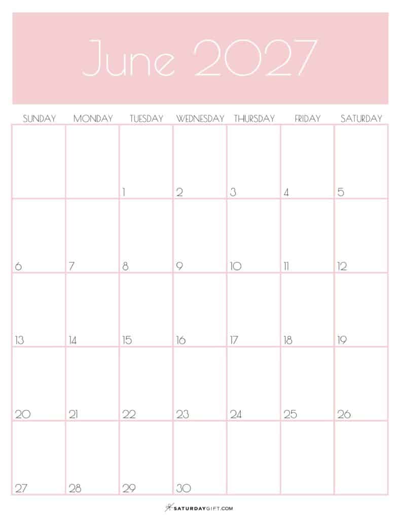 Pink Monthly Goals June 2027 Calendar Vertical Sunday-start | SaturdayGift