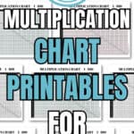 1-100 Multiplication Chart Printables for Homework | SaturdayGift