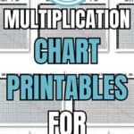 1-30 Multiplication Chart Printables for Learning | SaturdayGift