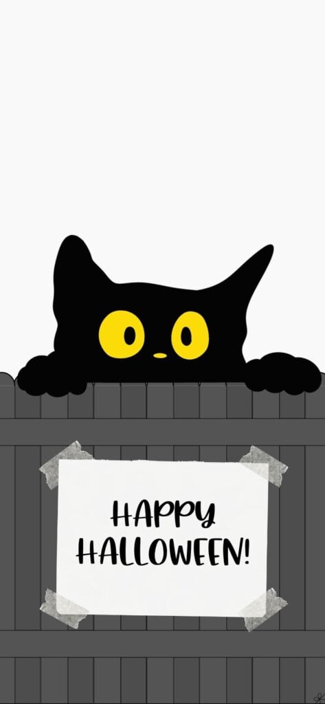 10. Cool cat wishes Happy Halloween | SaturdayGift