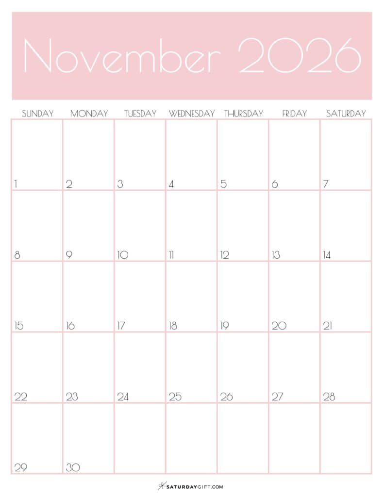 11 Pink Monthly Goals November 2026 Calendar Vertical Sunday-start