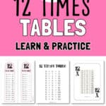 12 Times Tables - Learn & Practice | SaturdayGift