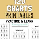 16 120 Charts Printables - Practice & Learn | SaturdayGift