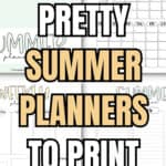 17+ Pretty Summer Planners to Print and Use | SaturdayGift