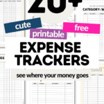 20+ Cute and Printable Expense Trackers | SaturdayGift