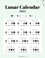 Moon Phase Calendar - 12 Cute & Free Printable 2025 Lunar Calendars