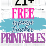 21+ Free Expense Tracker Printables | SaturdayGift