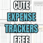 26 Cute Expense Trackers Free Printables | SaturdayGift