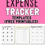 26 Expense Tracker Templates | SaturdayGift