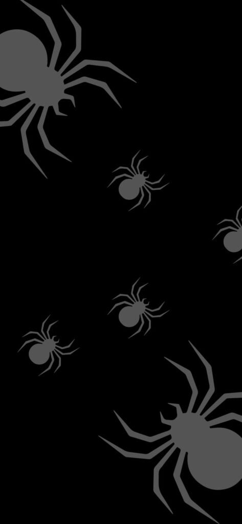 30. Spiders free Halloween Wallpaper for Phone | SaturdayGift