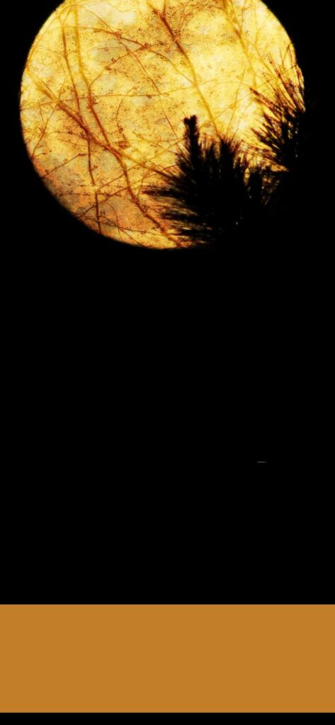 34. Halloween Wallpaper - Golden Full Moon | SaturdayGift