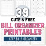 39 Cute and Free Bill Organizer Printables | SaturdayGift