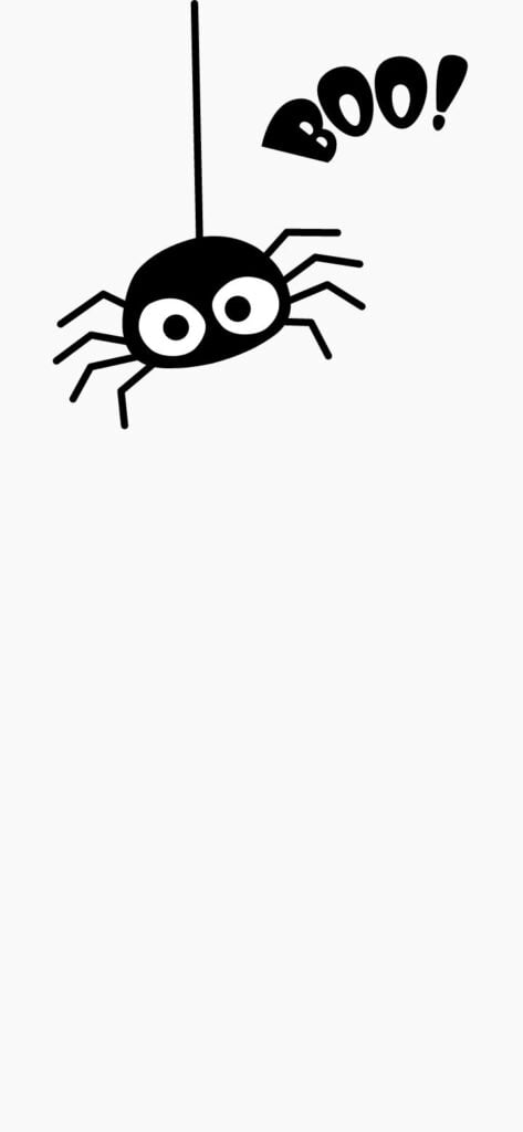 4. Cute spider says boo! | SaturdayGift