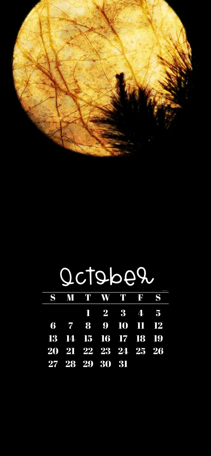 October 2024 Calendar Wallpaper 47 Cute iPhone Backgrounds