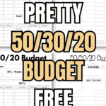 5 Pretty 50_30_20 Budget Free Templates | SaturdayGift
