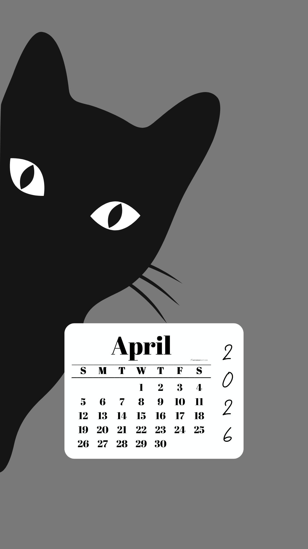April Phone Wallpaper 2026 - Black Cat Grey Background | SaturdayGift