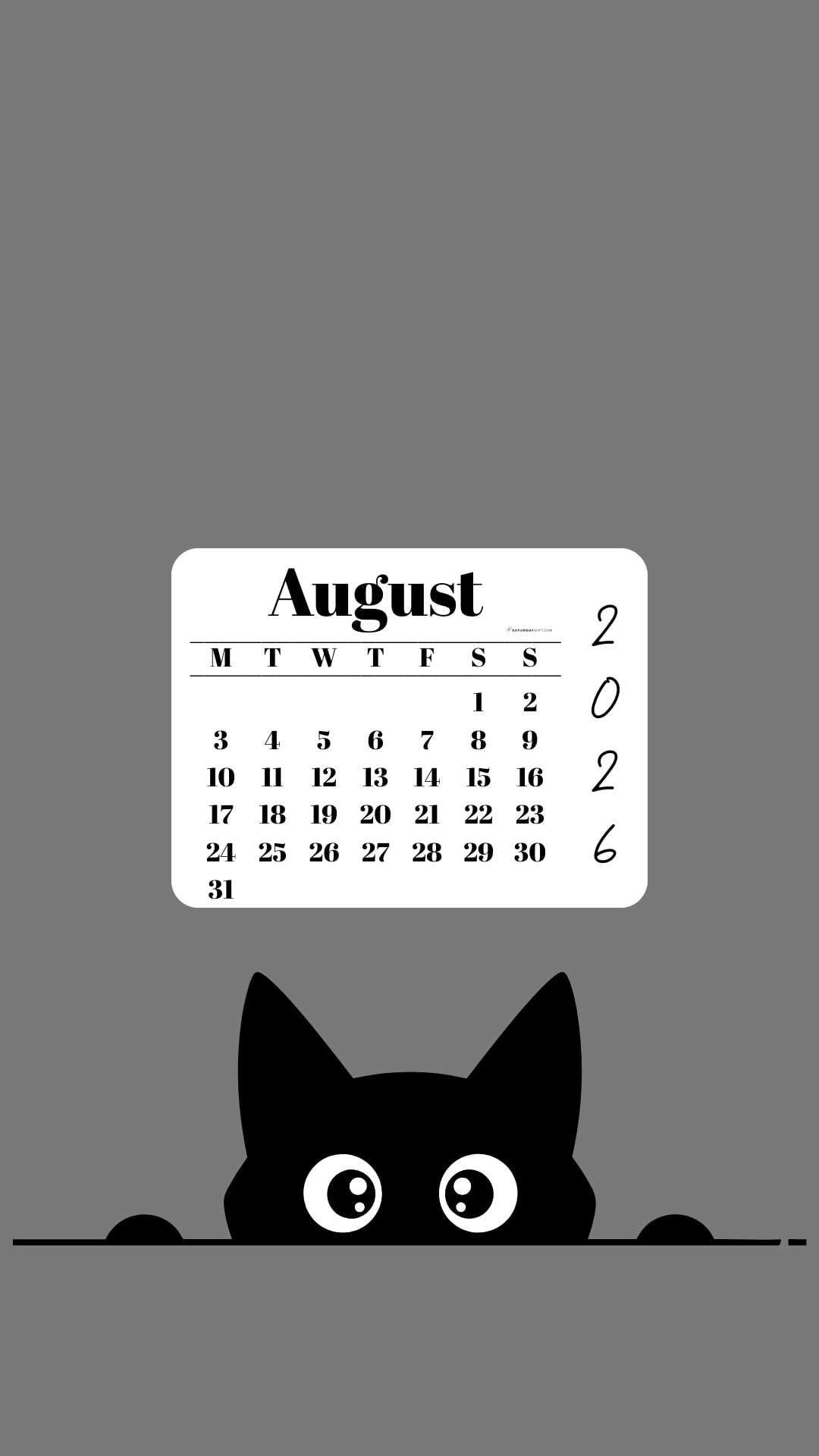 August Calendar 2026 Phone Background - Shy Cat Grey | SaturdayGift