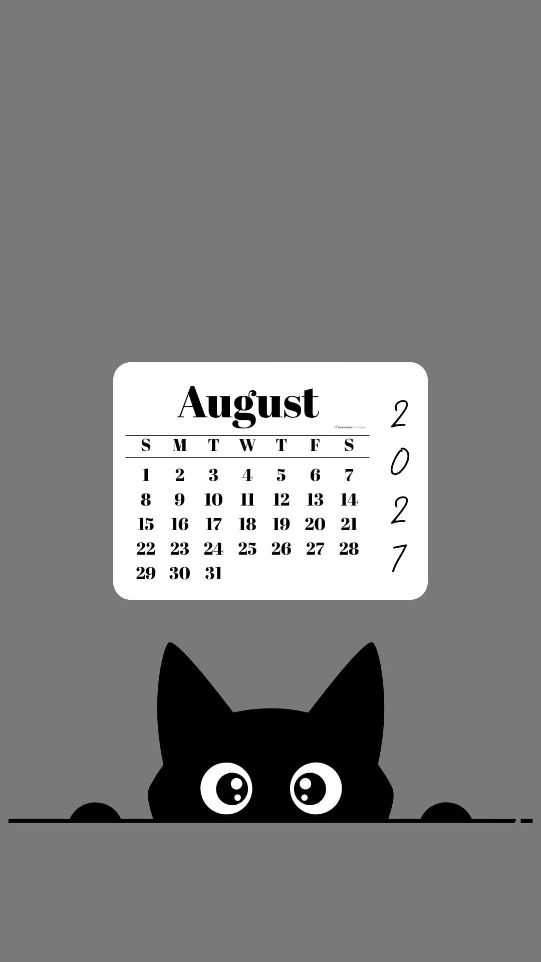 August Calendar 2027 Phone Background - Shy Cat Grey | SaturdayGift