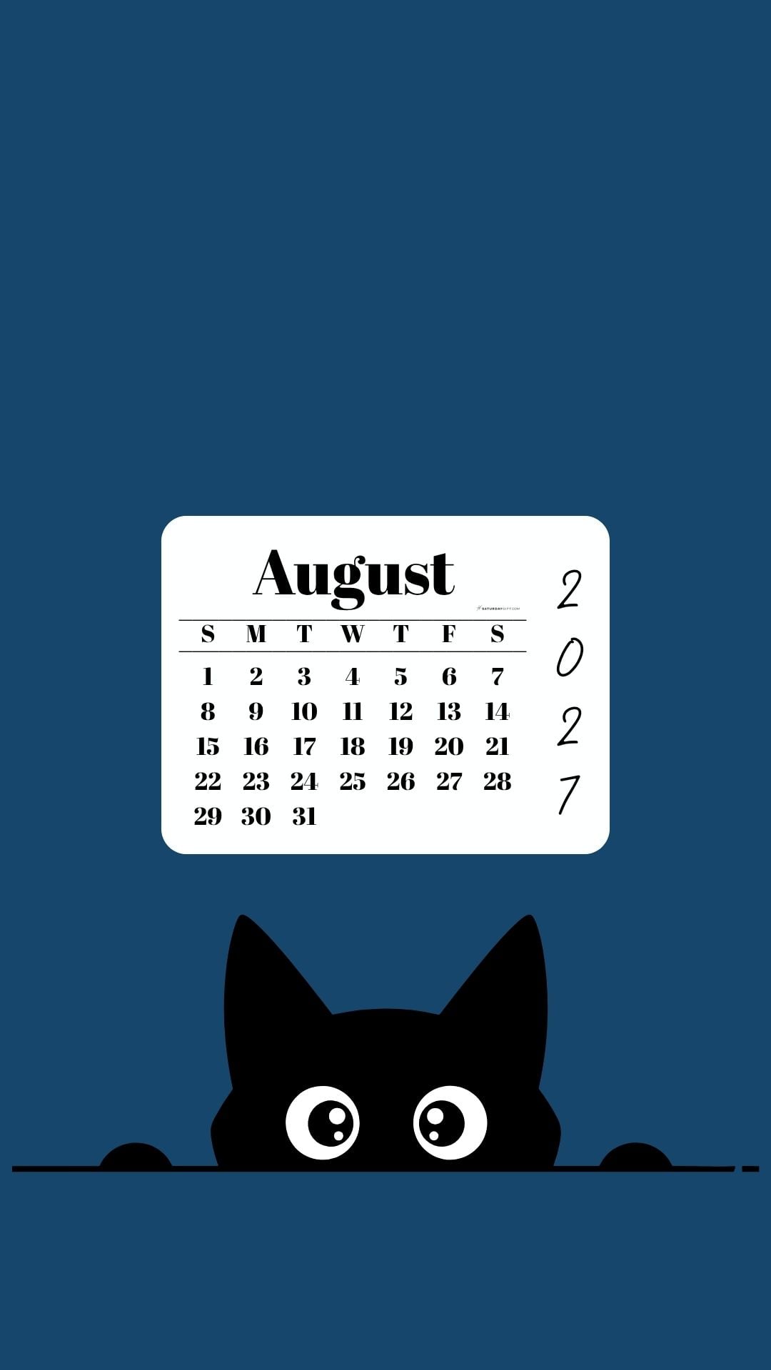 August Calendar Phone Background - Shy Cat Blue | SaturdayGift