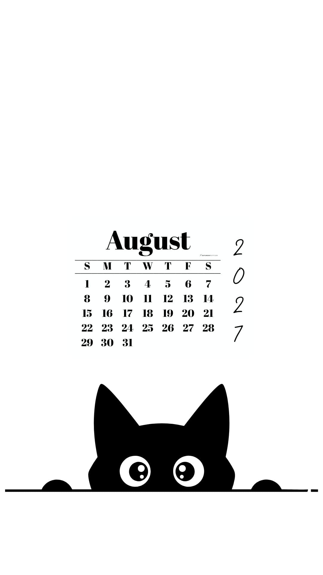 August Calendar Phone Background - Shy Cat White | SaturdayGift