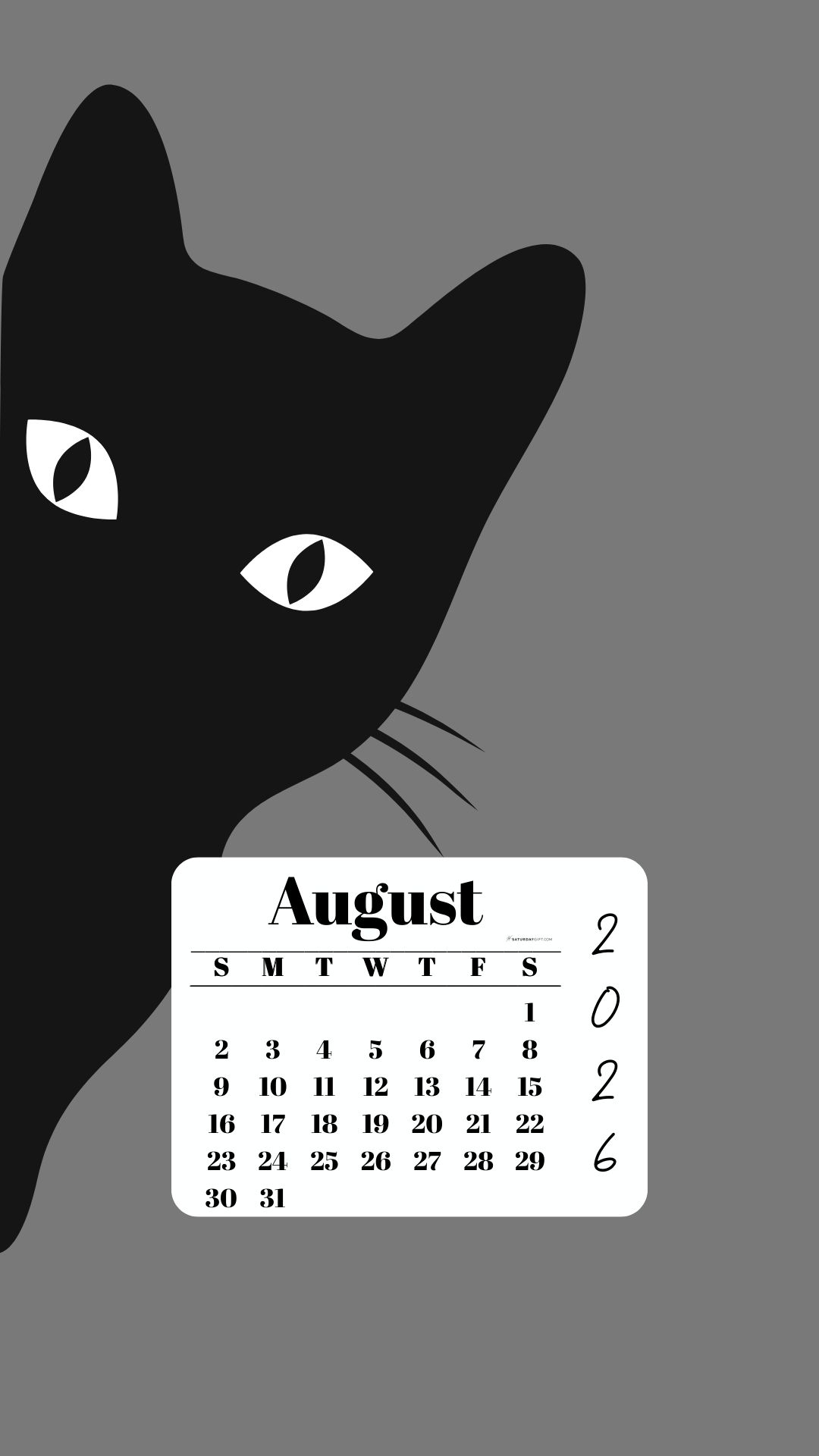 August Phone Wallpaper 2026 - Black Cat Grey Background | SaturdayGift