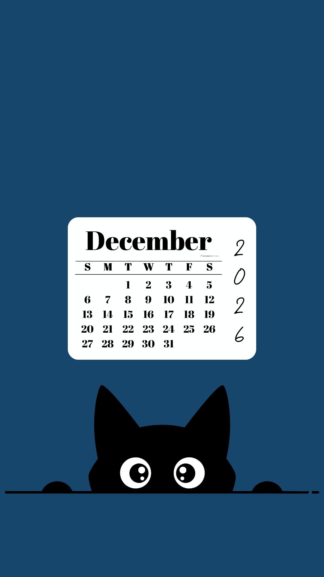 December Calendar 2026 Phone Background - Shy Cat Blue | SaturdayGift