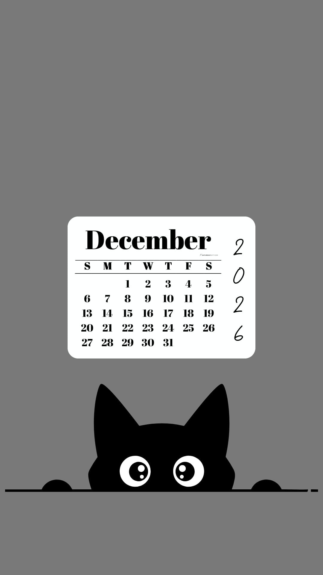 December Calendar 2026 Phone Background - Shy Cat Grey | SaturdayGift