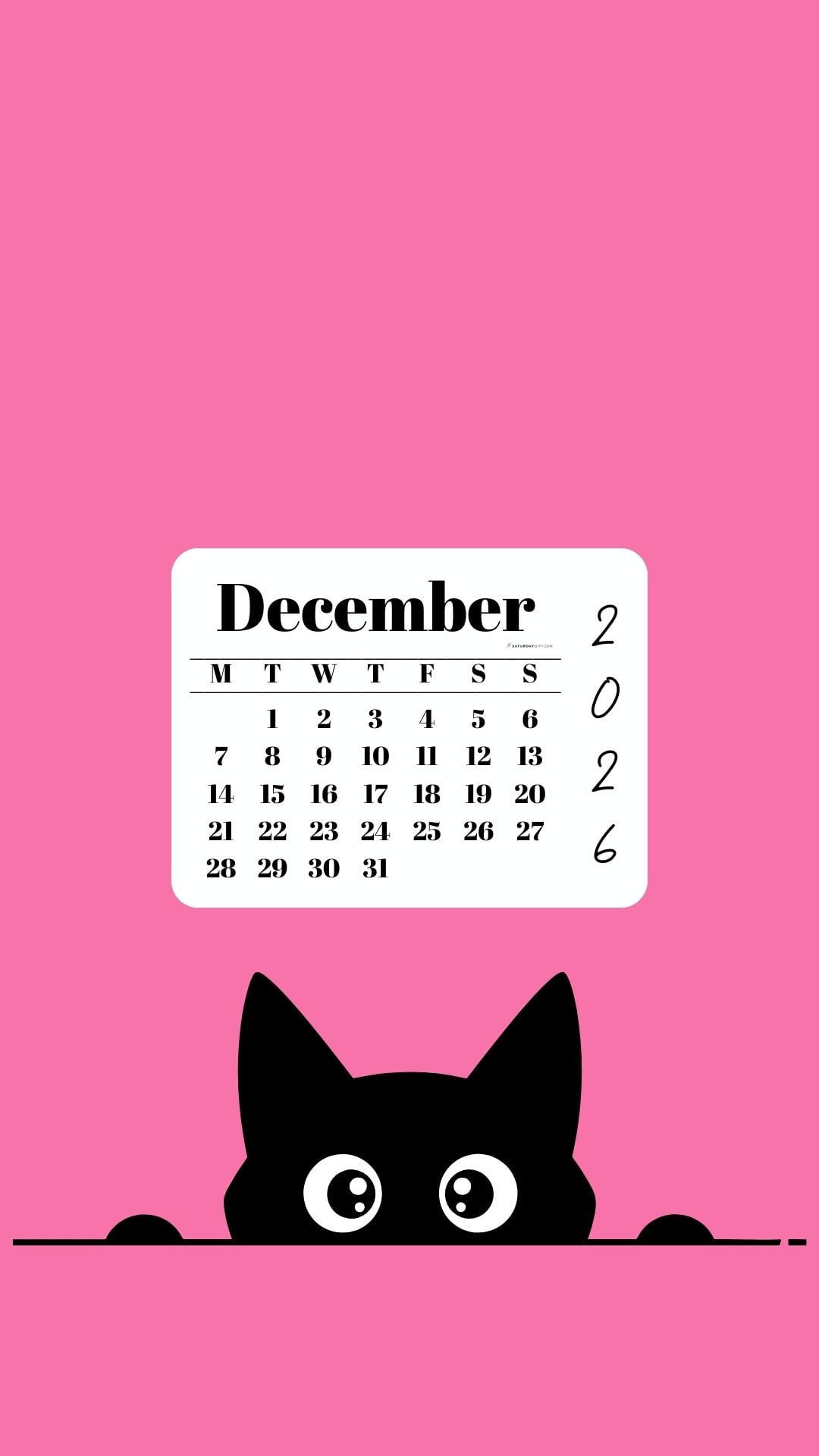 December Calendar 2026 Phone Background - Shy Cat Pink | SaturdayGift