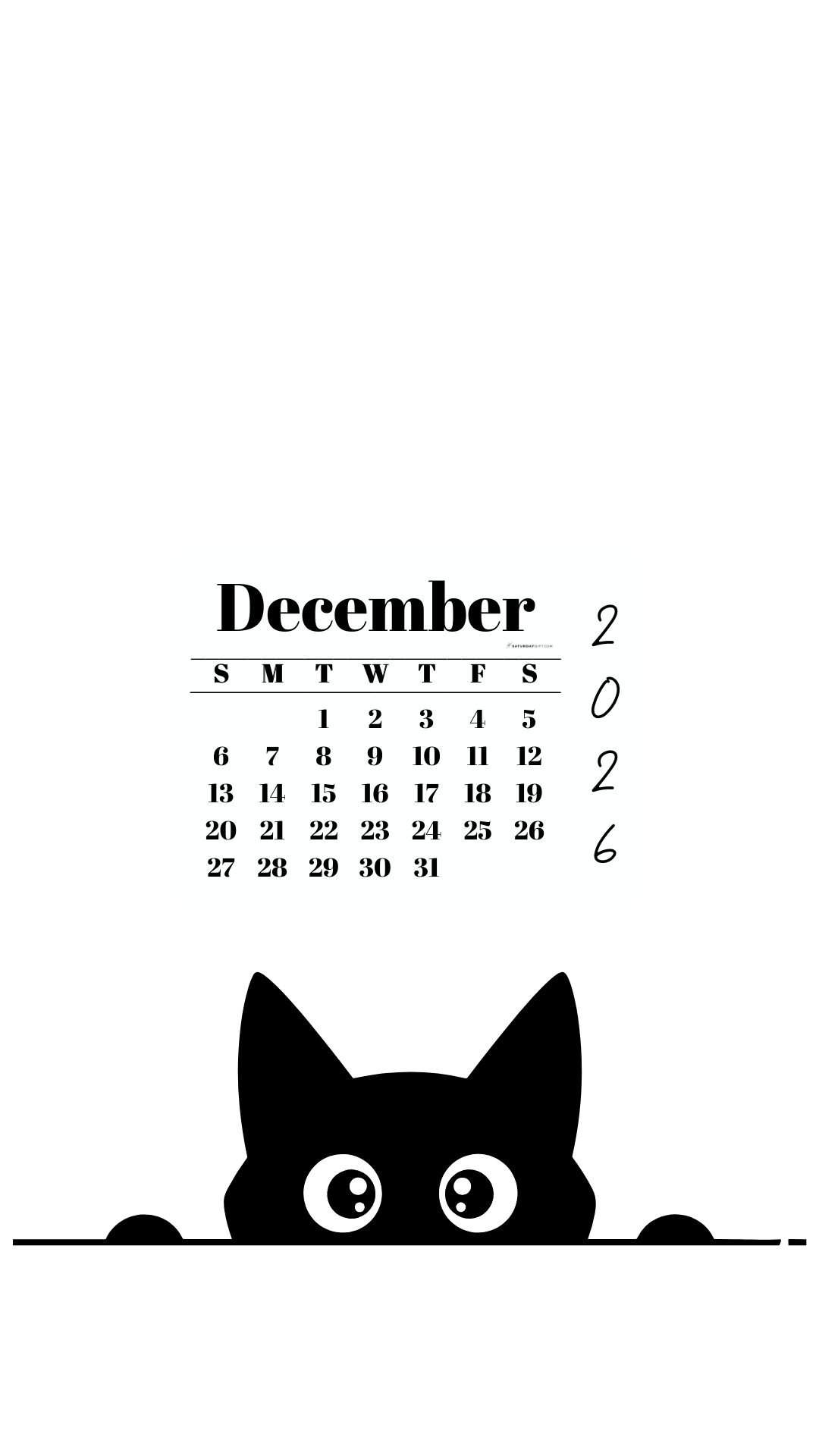 December Calendar 2026 Phone Background - Shy Cat White | SaturdayGift