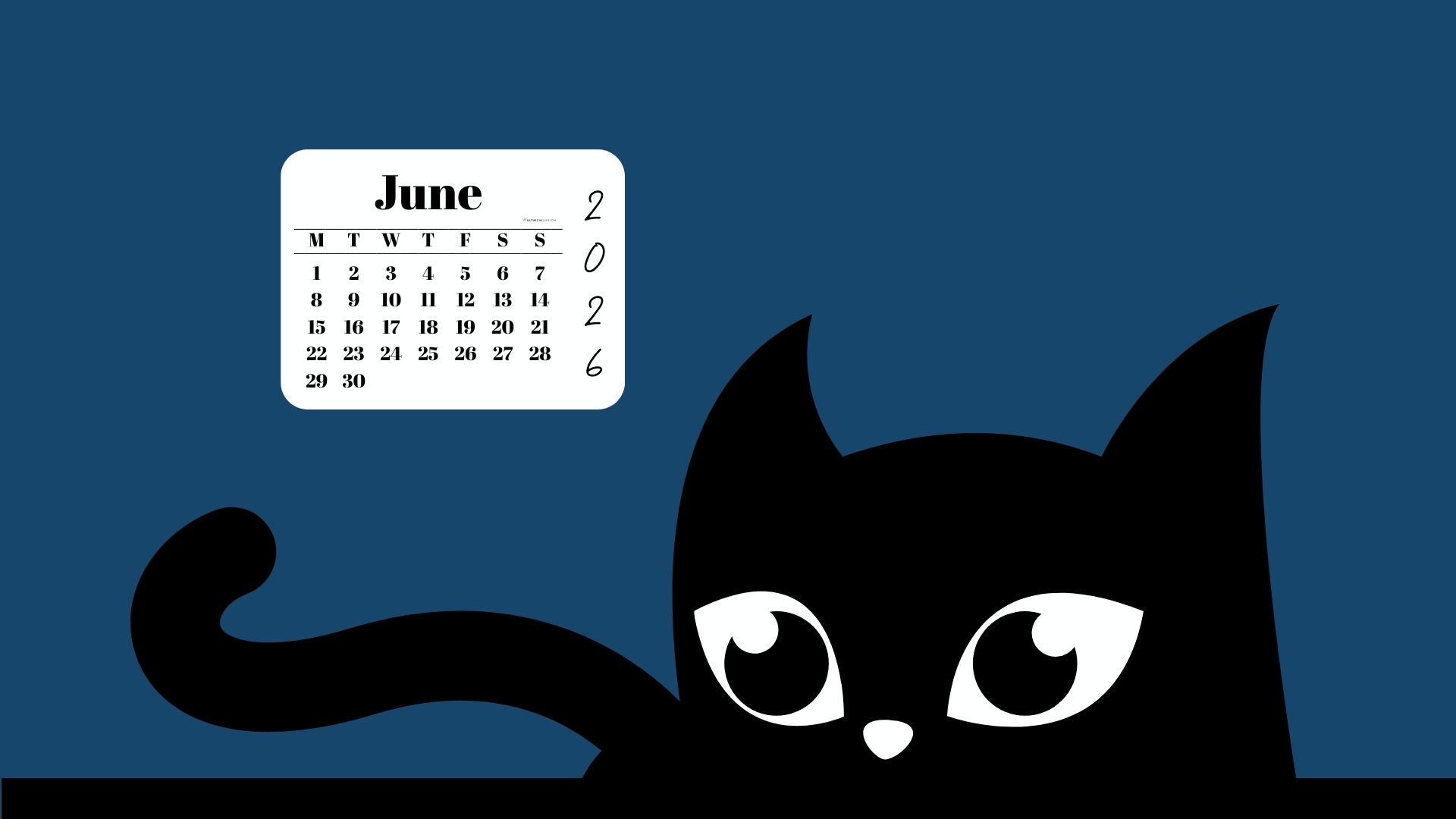 Desktop Background Wallpaper June Calendar 2026 - Black Cat Blue | SaturdayGift