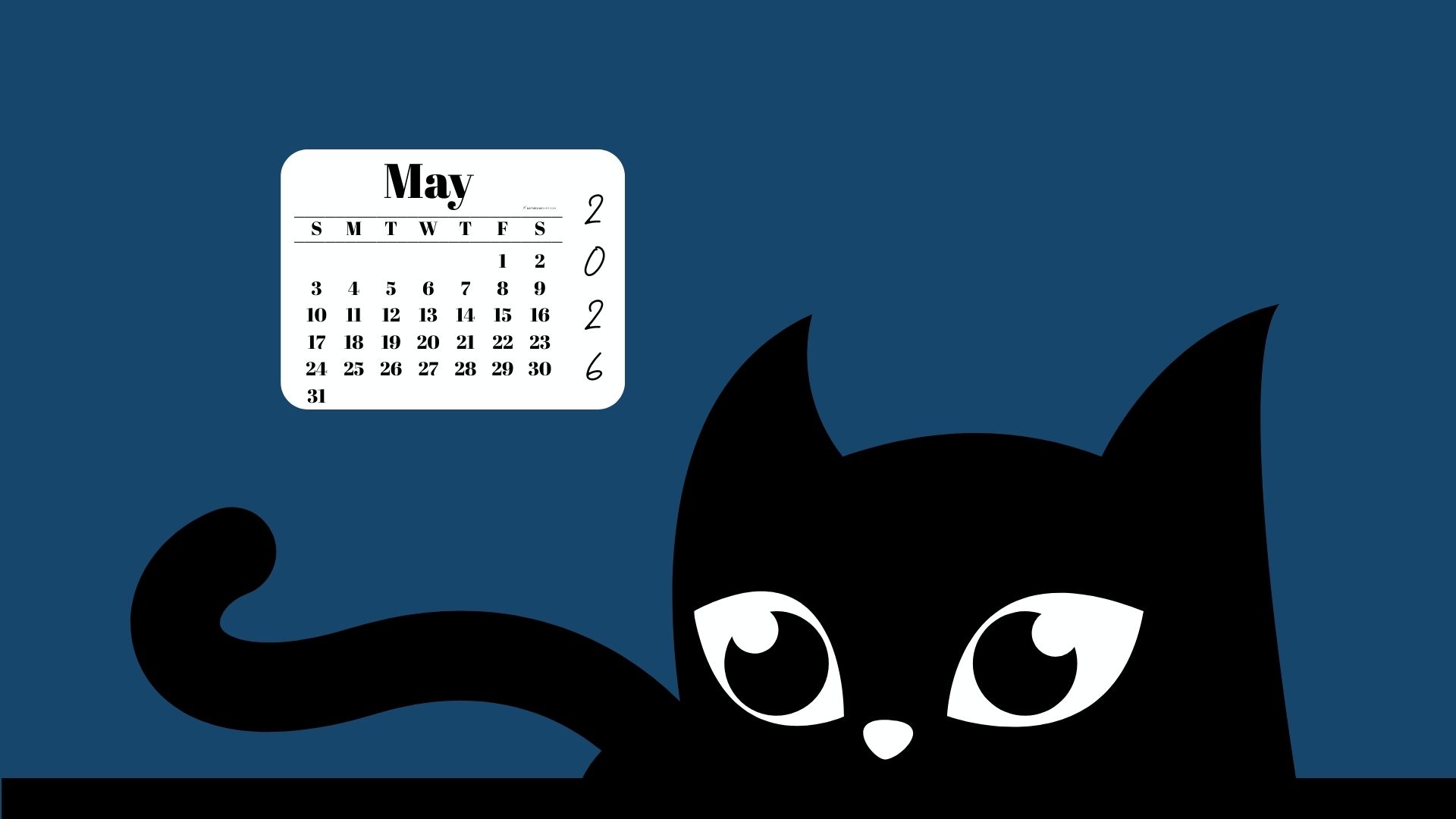 Desktop Background Wallpaper May Calendar 2026 - Black Cat Blue | SaturdayGift