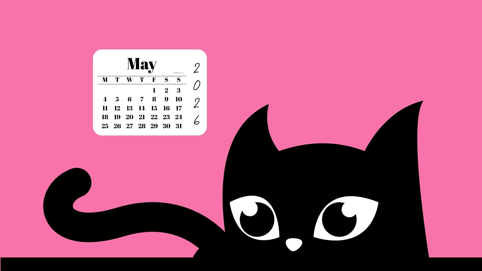 Desktop Background Wallpaper May Calendar 2026 - Black Cat Pink | SaturdayGift