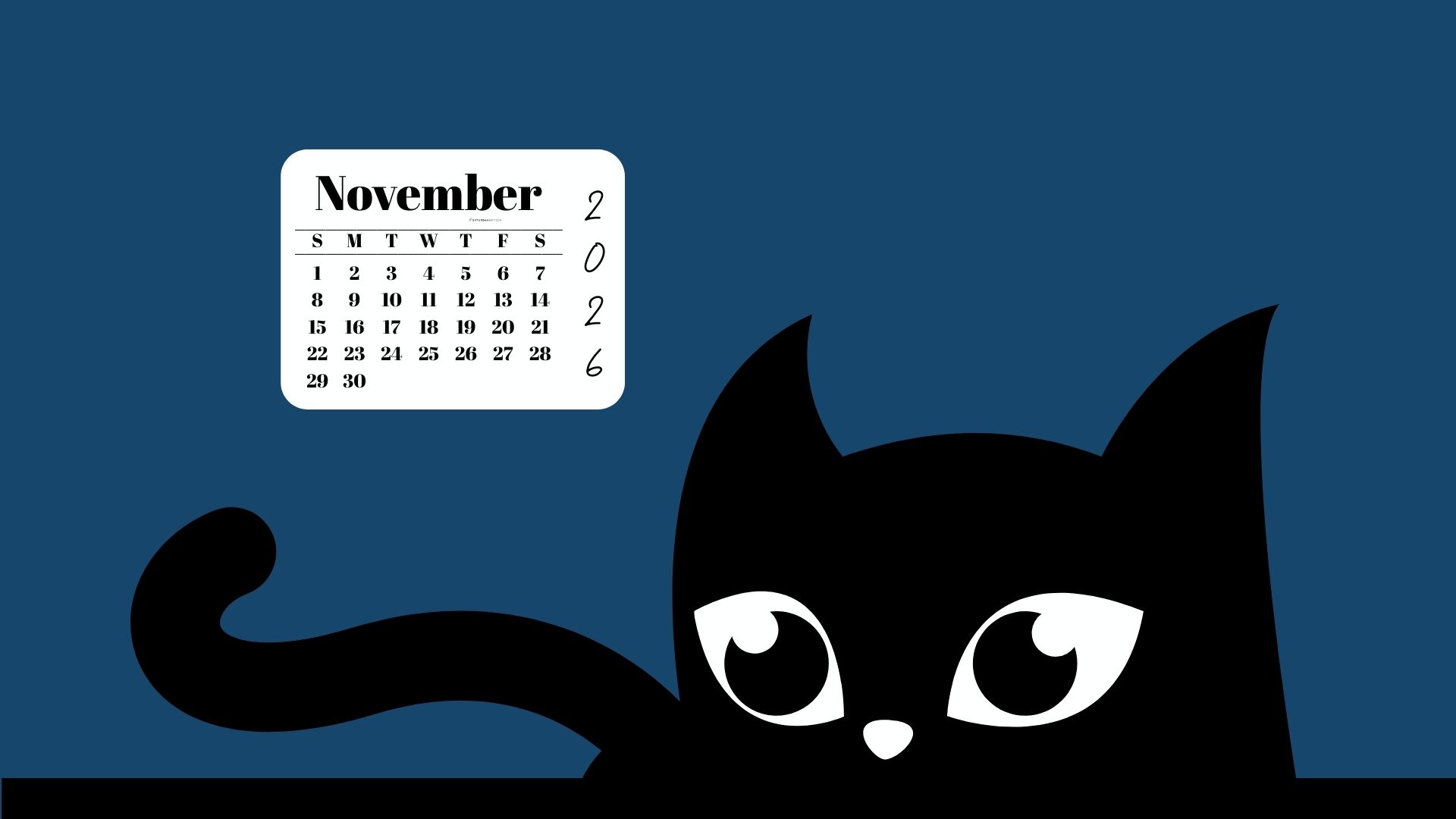 Desktop Background Wallpaper November Calendar 2026 - Black Cat Blue | SaturdayGift