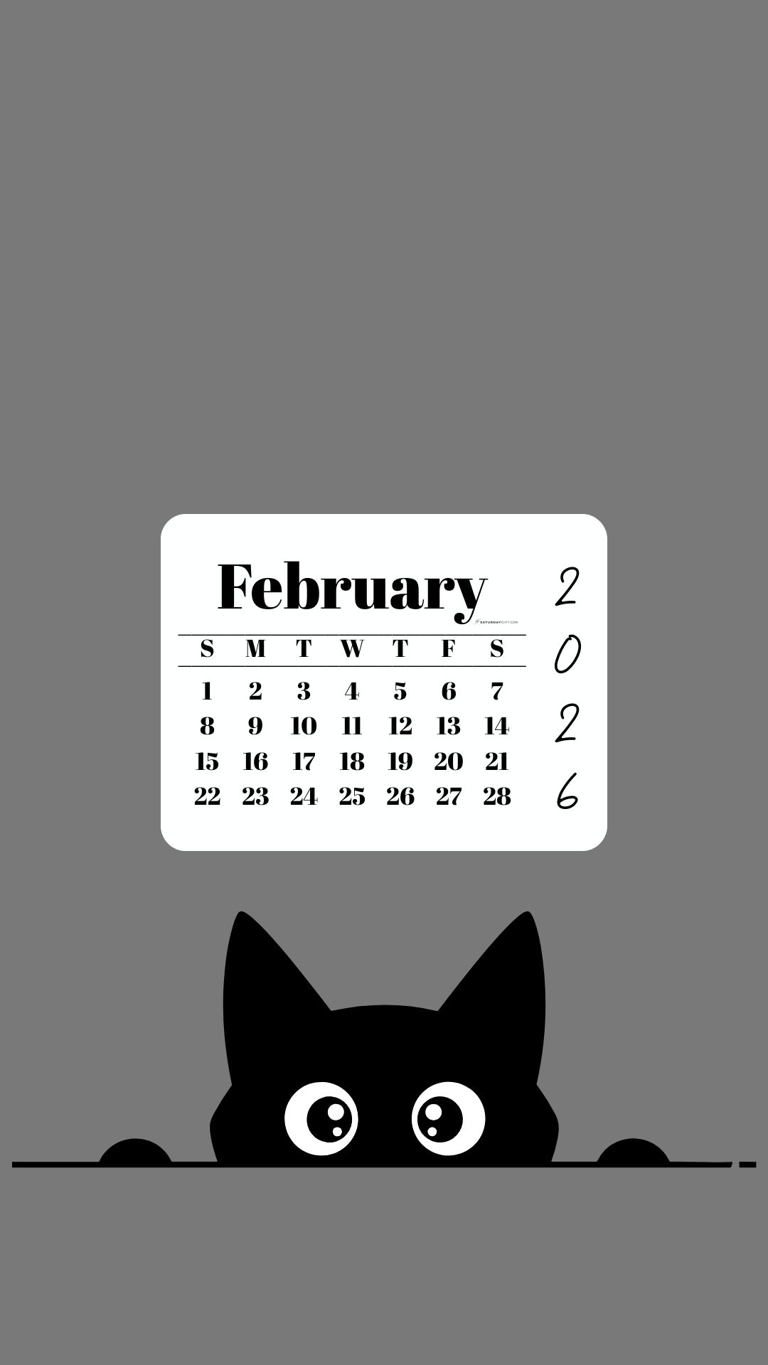 February Calendar 2026 Phone Background - Shy Cat Grey | SaturdayGift