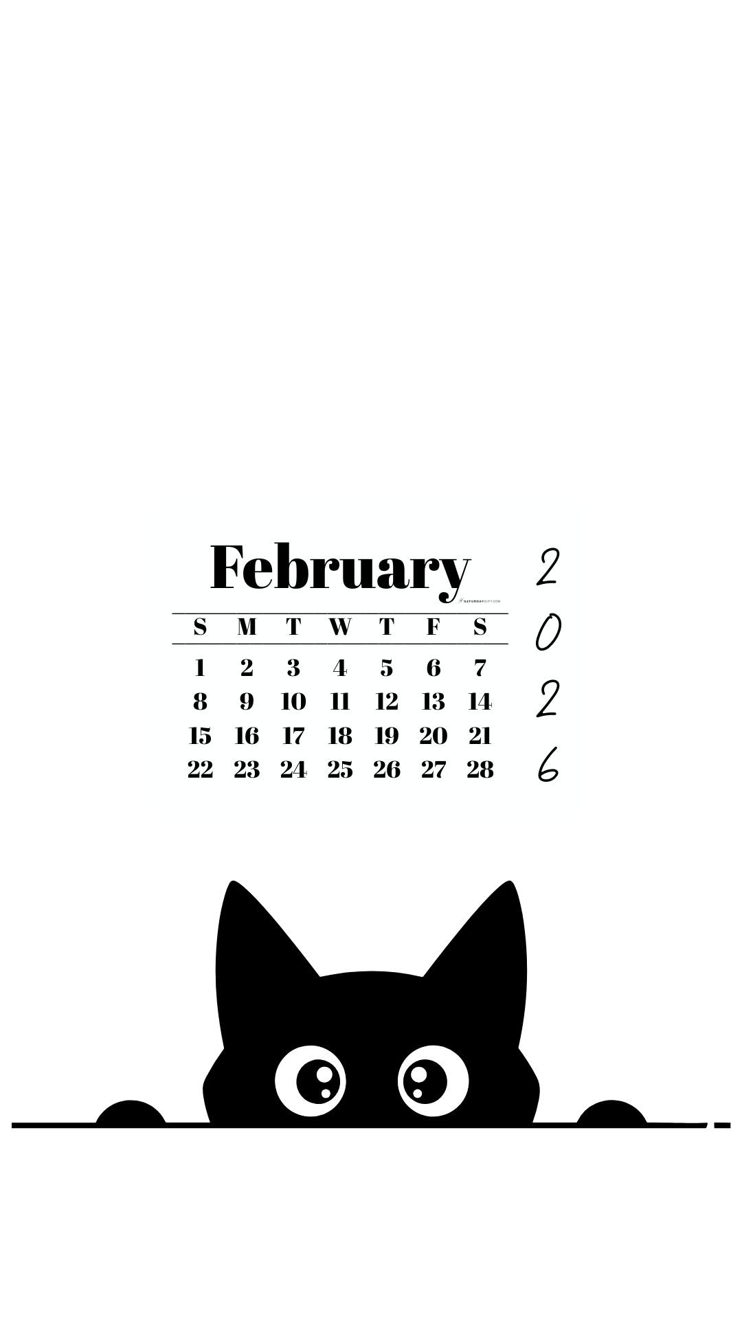 February Calendar 2026 Phone Background - Shy Cat White | SaturdayGift
