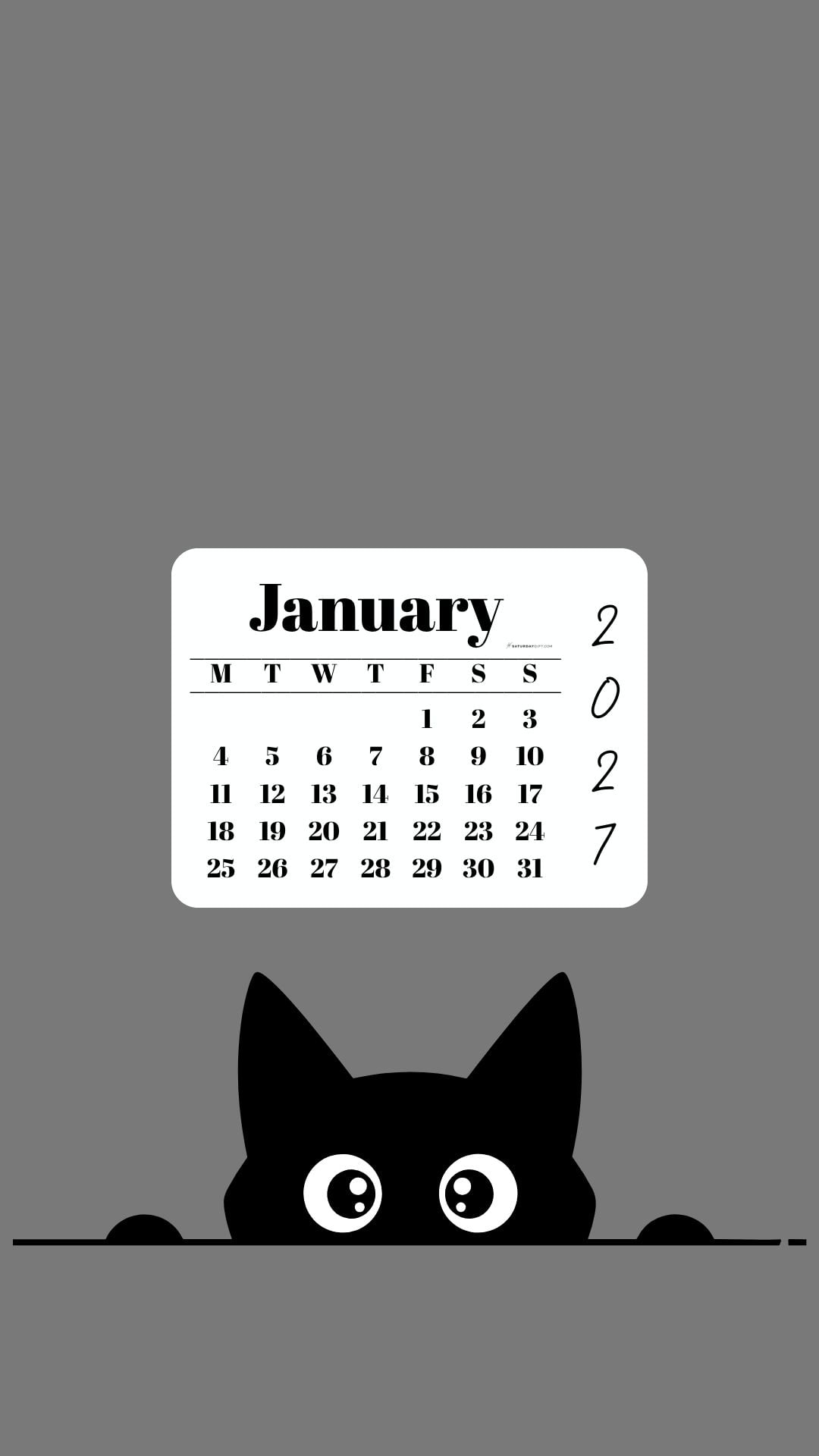 January Calendar 2027 Phone Background - Shy Cat Grey | SaturdayGift