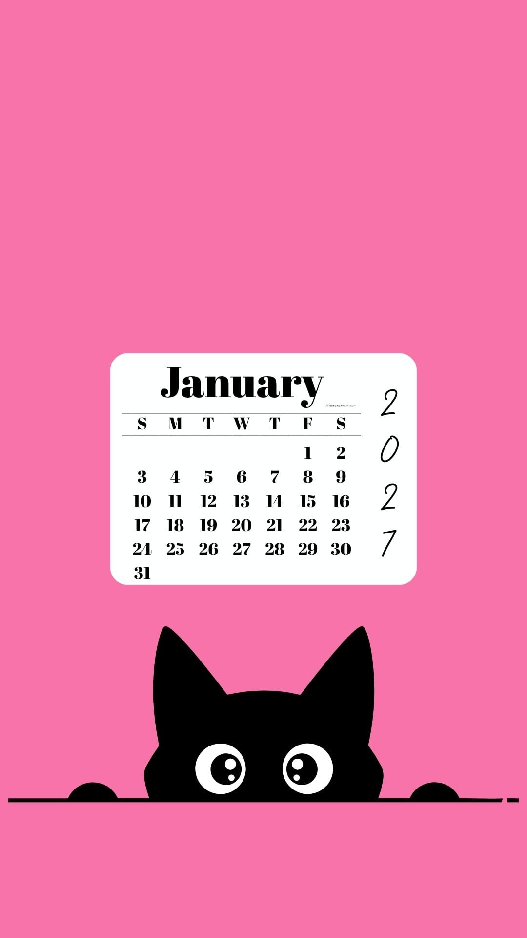 January Calendar 2027 Phone Background - Shy Cat Pink | SaturdayGift