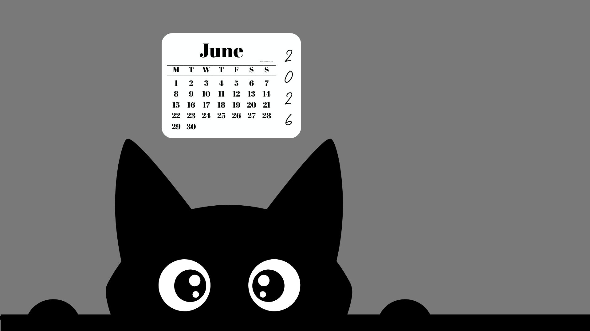 June Calendar 2026 Desktop Background - Shy Cat Grey | SaturdayGift