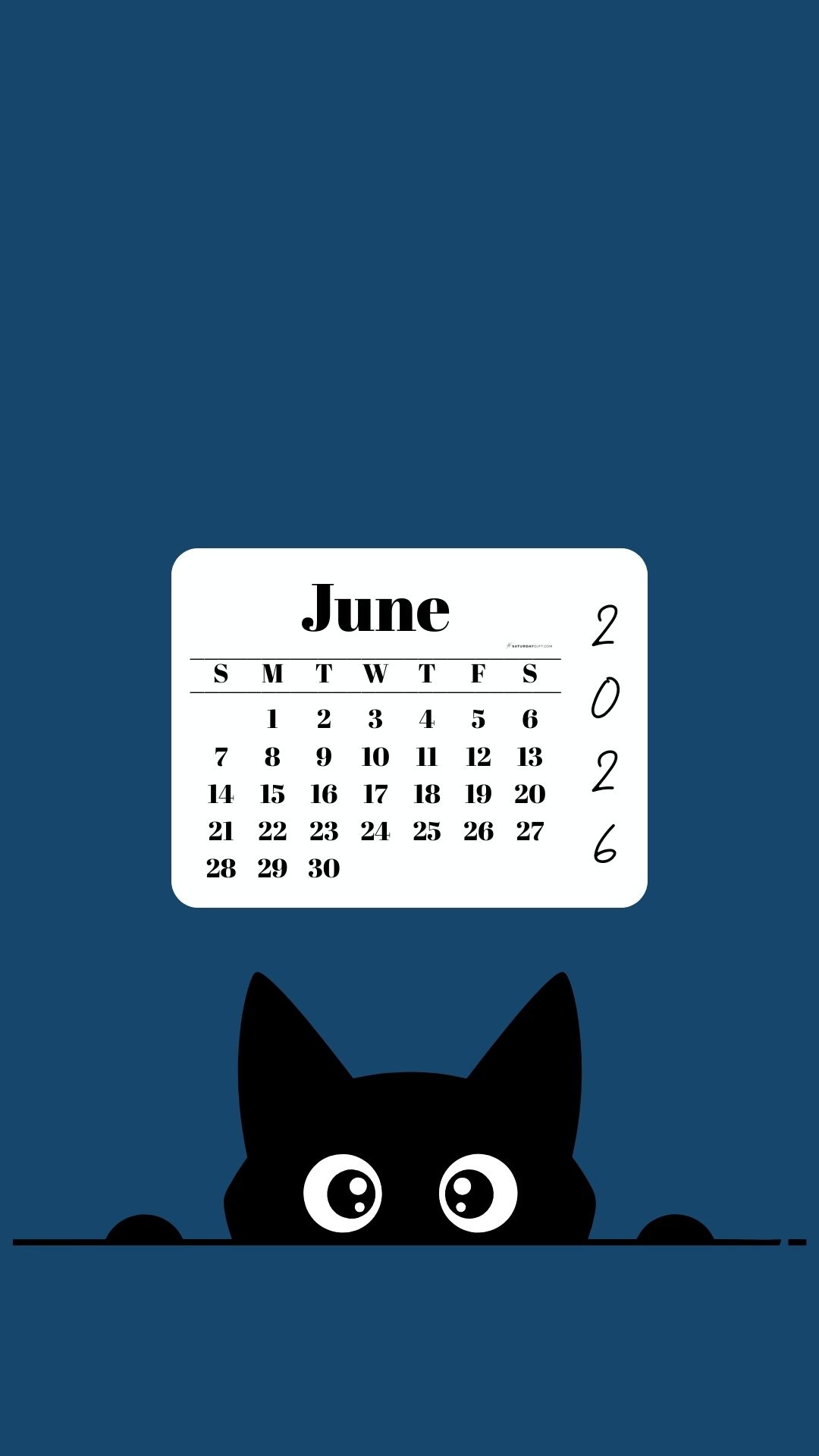 June Calendar 2026 Phone Background - Shy Cat Blue | SaturdayGift