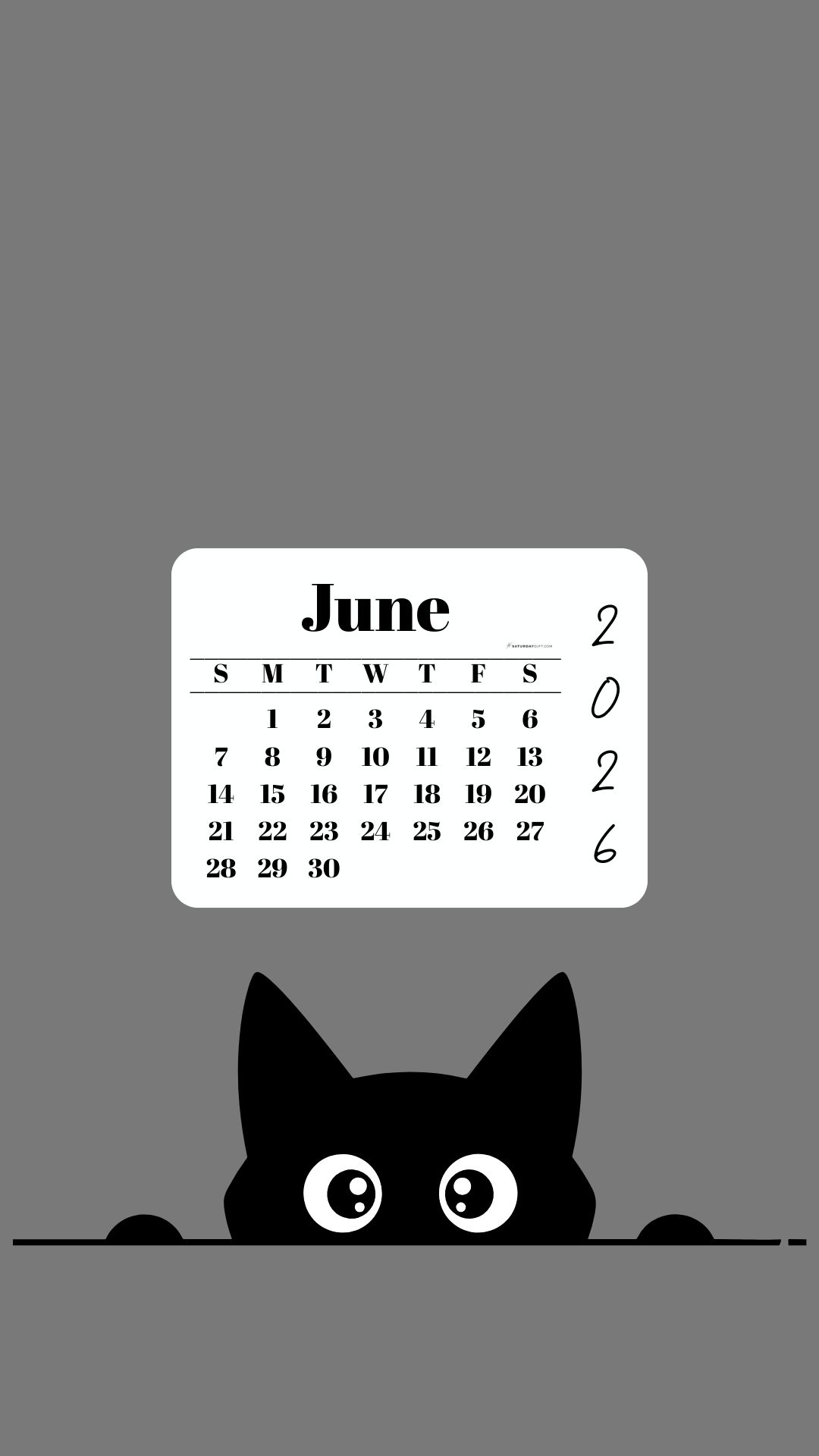 June Calendar 2026 Phone Background - Shy Cat Grey | SaturdayGift