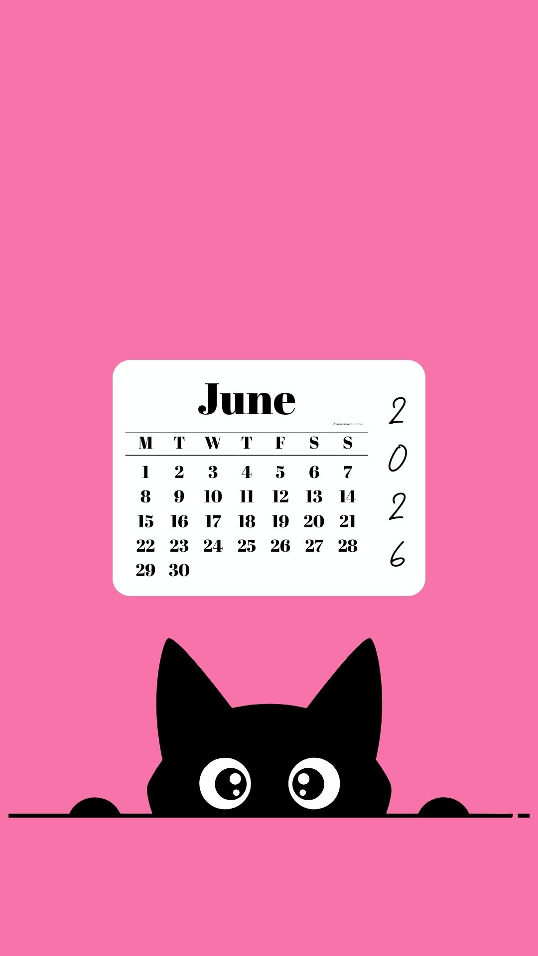 June Calendar 2026 Phone Background - Shy Cat Pink | SaturdayGift
