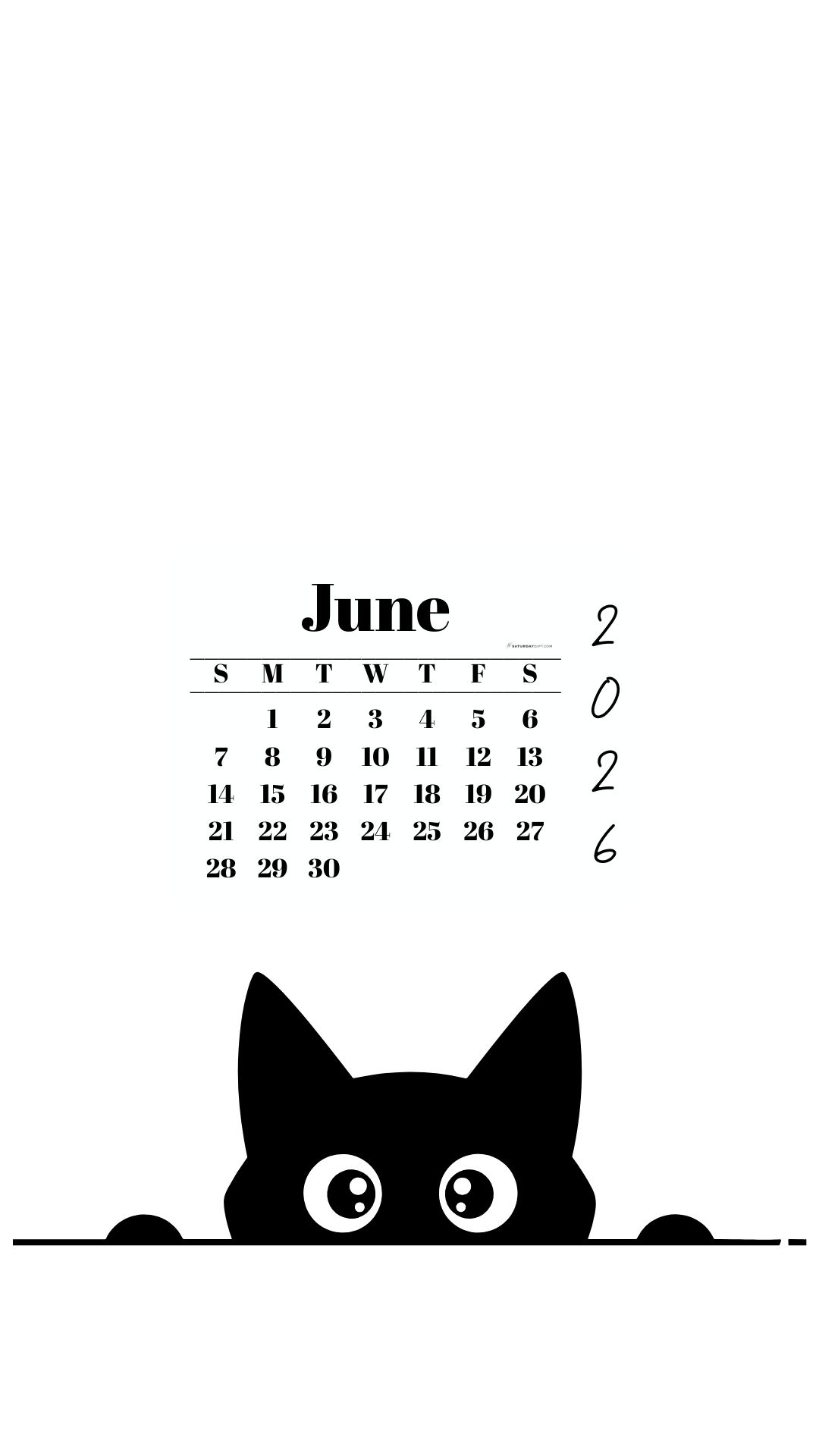 June Calendar 2026 Phone Background - Shy Cat White | SaturdayGift