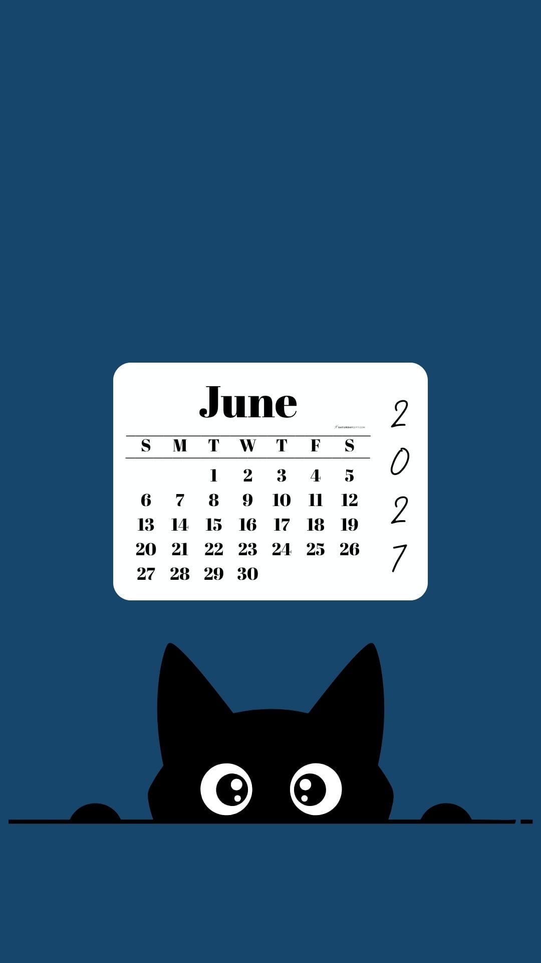 June Calendar 2027 Phone Background - Shy Cat Blue | SaturdayGift