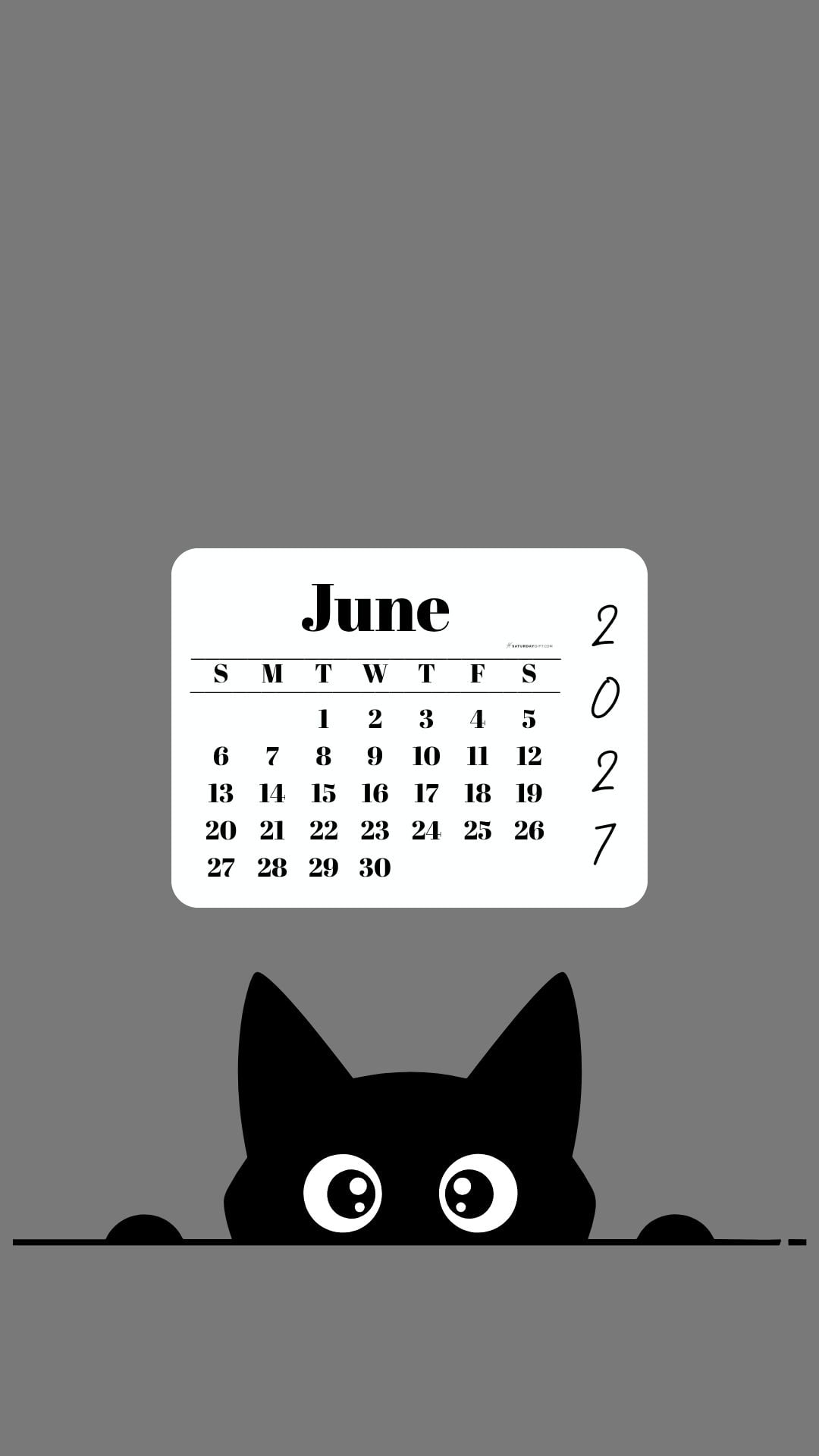 June Calendar 2027 Phone Background - Shy Cat Grey | SaturdayGift