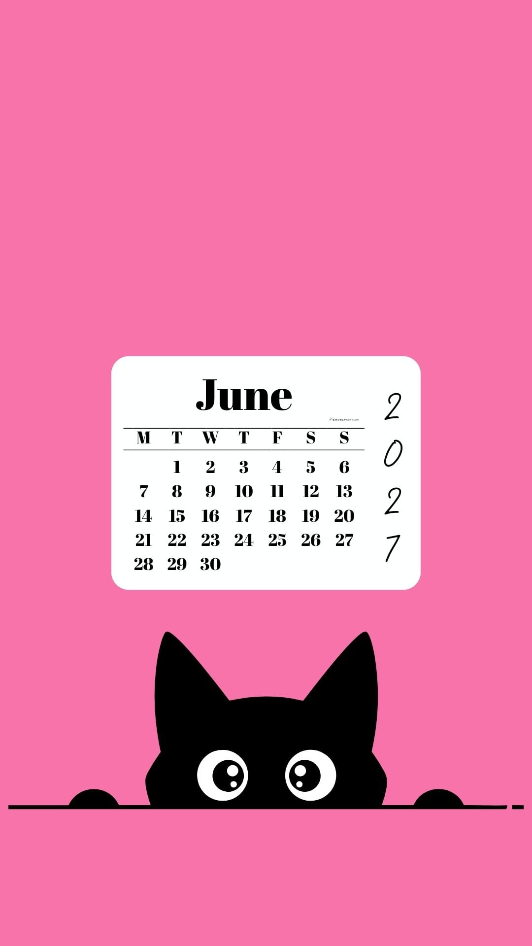 June Calendar 2027 Phone Background - Shy Cat Pink | SaturdayGift