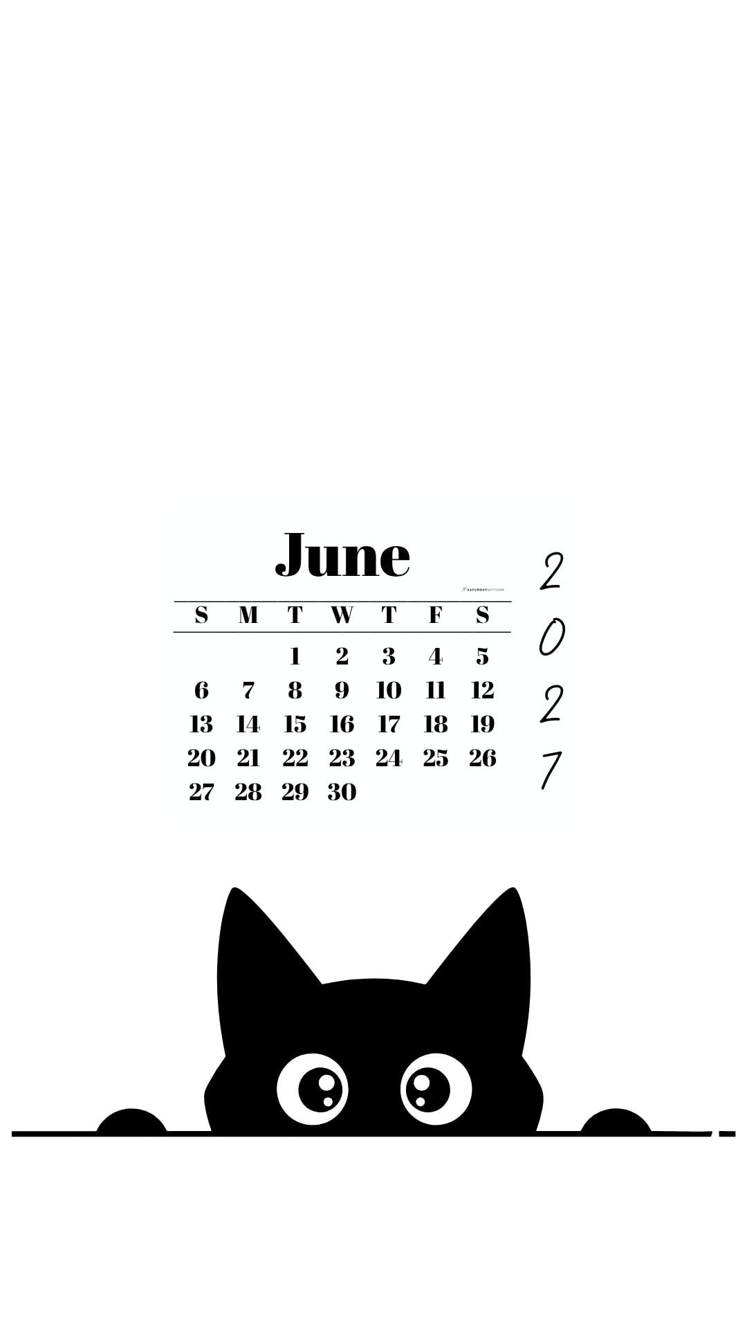 June Calendar 2027 Phone Background - Shy Cat White | SaturdayGift