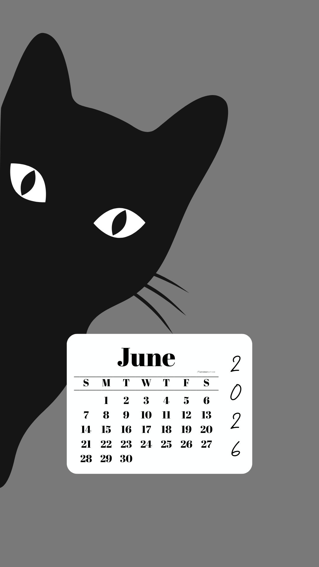 June Phone Wallpaper 2026 - Black Cat Grey Background | SaturdayGift