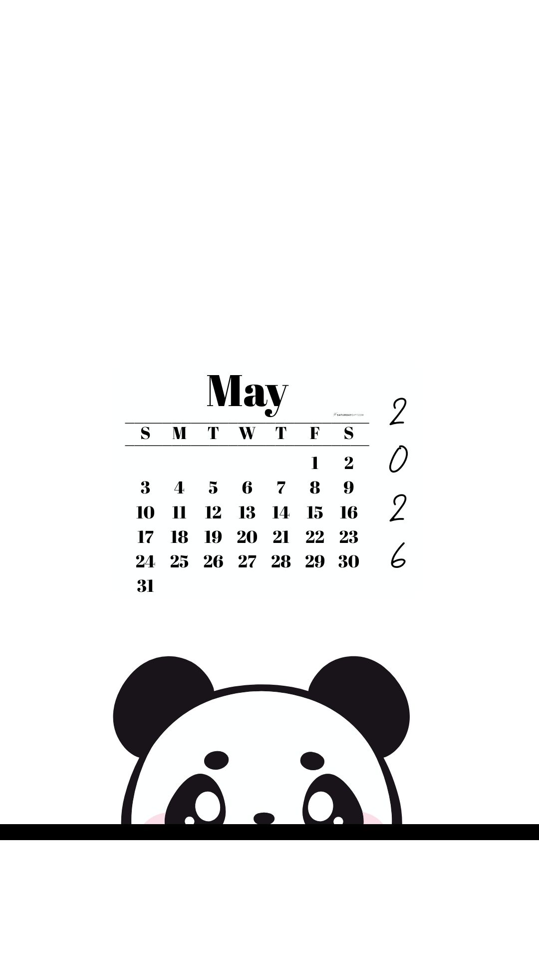 May 2026 Wallpaper for Phone - Shy Panda | SaturdayGift