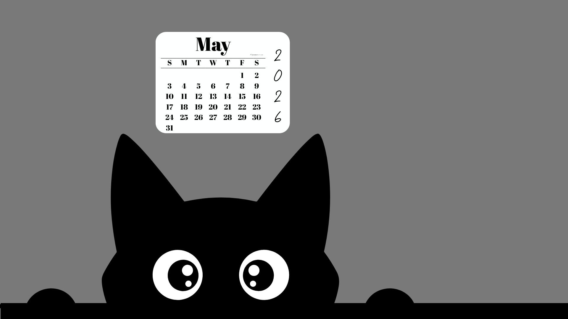 May Calendar 2026 Desktop Background - Shy Cat Grey | SaturdayGift