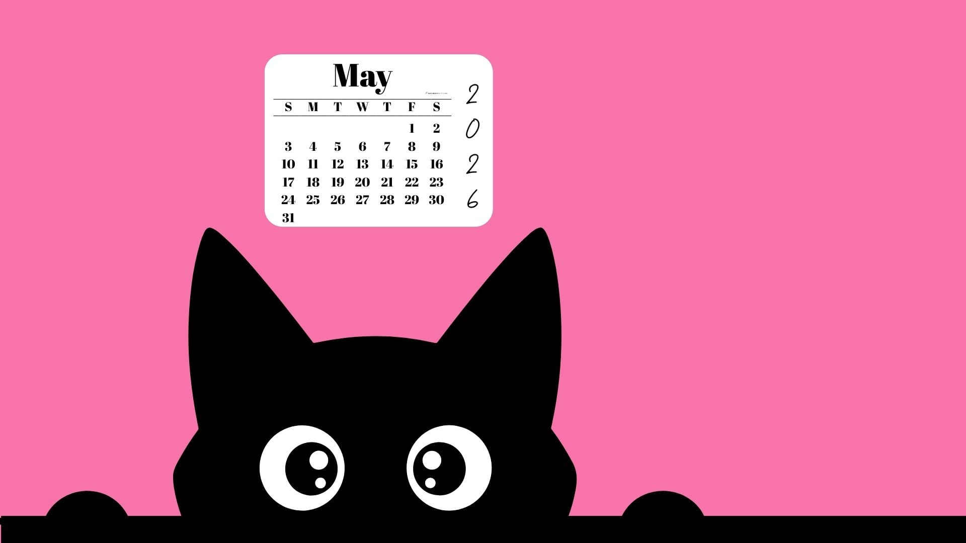 May Calendar 2026 Desktop Background - Shy Cat Pink | SaturdayGift